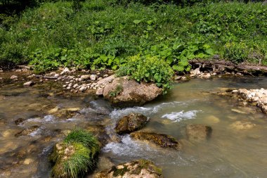 Dağ nehirleri, gezegendeki ekolojik temiz su rezervleri, dağların yükseklerinden geliyor. .