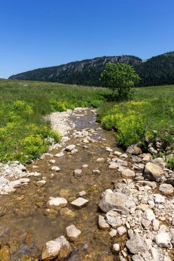 Dağ nehirleri, gezegendeki ekolojik temiz su rezervleri, dağların yükseklerinden geliyor. .