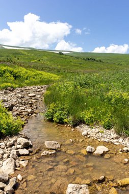 Dağ nehirleri, gezegendeki ekolojik temiz su rezervleri, dağların yükseklerinden geliyor. .