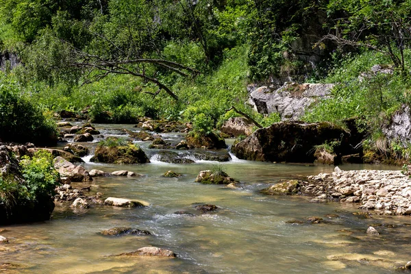 Dağ nehirleri, gezegendeki ekolojik temiz su rezervleri, dağların yükseklerinden geliyor. .