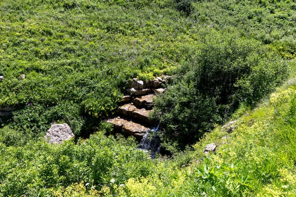 山区河流 地球上源于高山的生态清洁水源 — 图库照片