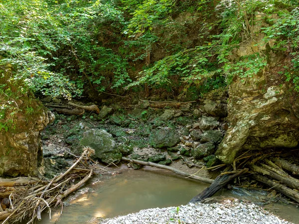 Horské Řeky Pramenící Vysoko Horách Cesta Kaňonem Řeky Slunečného Letního — Stock fotografie