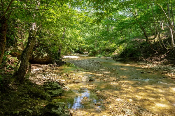 Gebirgsflüsse Die Hoch Den Bergen Entspringen Eine Reise Durch Die — Stockfoto