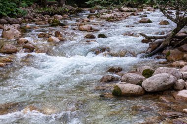 Dağ nehirleri, gezegendeki ekolojik temiz su rezervleri, dağların yükseklerinden geliyor. .