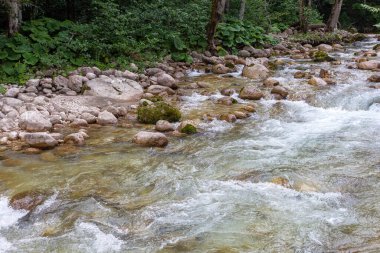 Dağ nehirleri, gezegendeki ekolojik temiz su rezervleri, dağların yükseklerinden geliyor. .