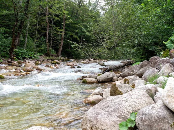 Dağ nehirleri, gezegendeki ekolojik temiz su rezervleri, dağların yükseklerinden geliyor. .