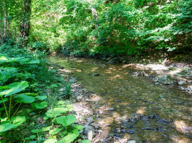 Dağlık araziler, yaz, güneşli bir günde bir dağ nehrinin kanyonu boyunca yürümek, turizm için geçilemez yerler..