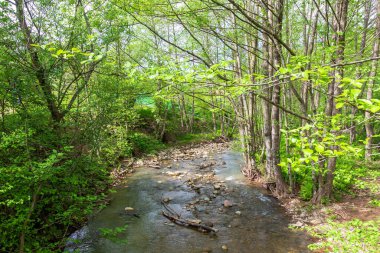 Dağ nehirleri, gezegendeki temiz su kaynakları, güneşli bir bahar gününde, kar eridikten sonra sel..
