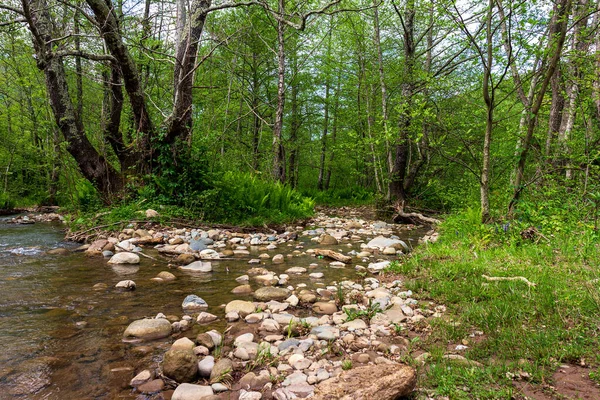 Гірські Річки Джерела Заповідників Чистої Води Планеті Сонячний Весняний День — стокове фото