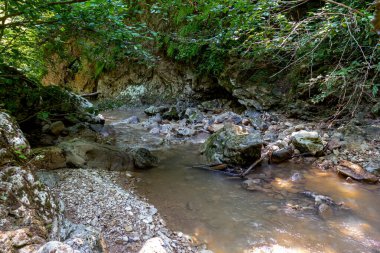 Dağlardan yükselen dağ nehirleri, güneşli bir yaz gününde nehrin kanyonu boyunca seyahat, ormanın tepe örtüsünün altında, çok seyahat edilmeyen turizm yolları..