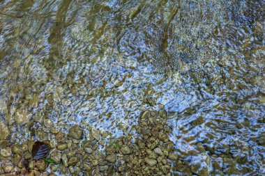 Dağlardan yükselen dağ nehirleri, güneşli bir yaz gününde nehrin kanyonu boyunca seyahat, ormanın tepe örtüsünün altında, çok seyahat edilmeyen turizm yolları..