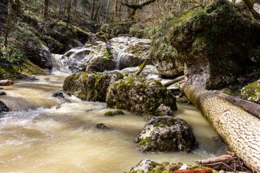 Dağ nehirleri, gezegendeki çevre dostu su rezervlerinin kaynakları, güneşli bir bahar gününde, eriyen kardan sonra sel..