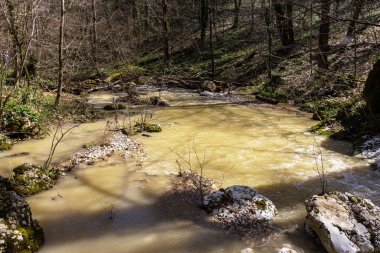 Dağ nehirleri, gezegendeki çevre dostu su rezervlerinin kaynakları, güneşli bir bahar gününde, eriyen kardan sonra sel..