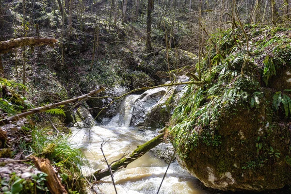 Bergflüsse Quellen Umweltfreundlicher Wasserreserven Auf Dem Planeten Einem Sonnigen Frühlingstag — Stockfoto