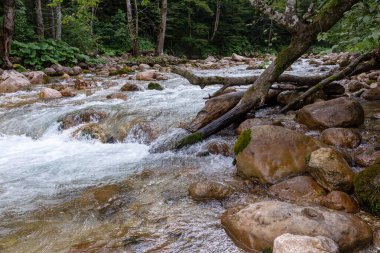Dağ nehirleri, gezegendeki ekolojik temiz su rezervleri, dağların yükseklerinden geliyor. .