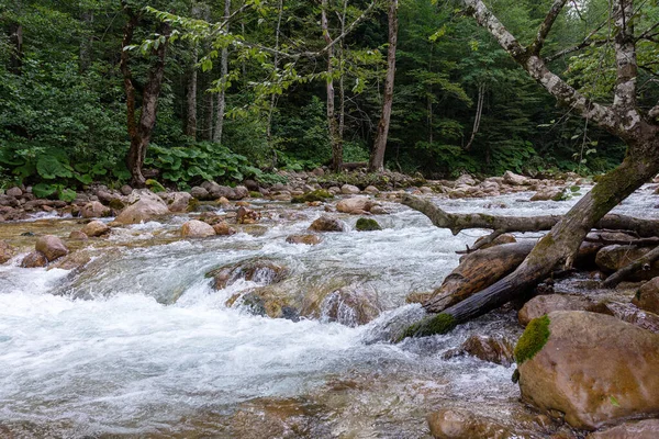 Гірські Річки Джерела Екологічно Чистих Водних Заповідників Планеті Виникають Високо — стокове фото