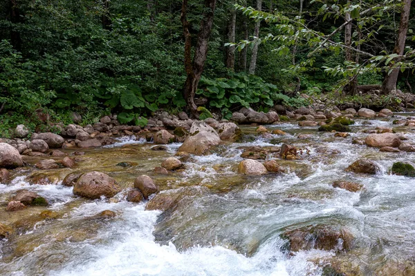 Bergsfloder Källor Till Ekologiskt Rena Vattenreserver Planeten Med Ursprung Högt Stockbild