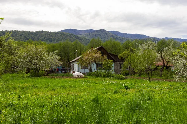 Een Chalet Een Bergdorp Een Oude Architectuur Een Verscheidenheid Aan — Stockfoto