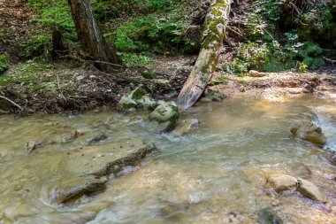 Dağlardan yükselen dağ nehirleri, güneşli bir yaz gününde nehrin kanyonu boyunca seyahat, ormanın tepe örtüsünün altında, çok seyahat edilmeyen turizm yolları..