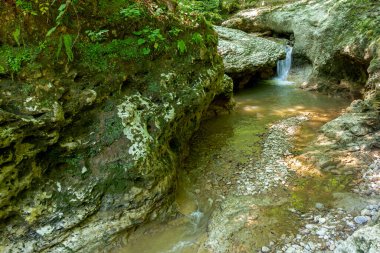 Dağlardan yükselen dağ nehirleri, güneşli bir yaz gününde nehrin kanyonu boyunca seyahat, ormanın tepe örtüsünün altında, çok seyahat edilmeyen turizm yolları..