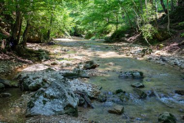 Dağlardan yükselen dağ nehirleri, güneşli bir yaz gününde nehrin kanyonu boyunca seyahat, ormanın tepe örtüsünün altında, çok seyahat edilmeyen turizm yolları..