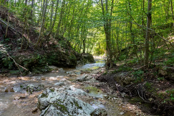 Mountain Rivers Originating High Mountains Journey Canyon River Sunny Summer — Stock Photo, Image