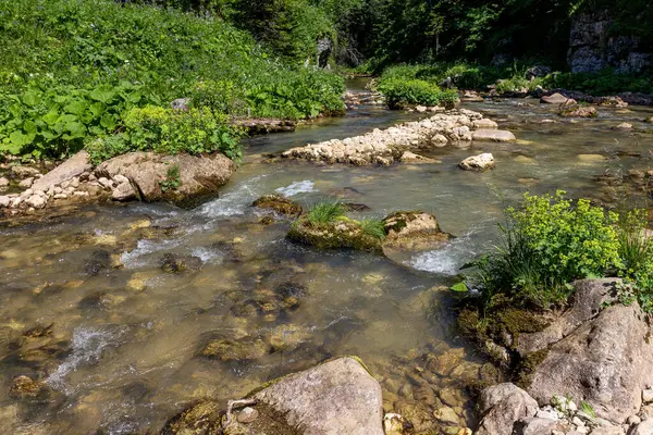 自然公園 新鮮な空気の中を歩くと 山の川の峡谷に沿って 魅力的な場所は晴れた日に旅行する — ストック写真