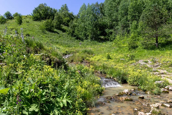 自然公園 新鮮な空気の中を歩くと 山の川の峡谷に沿って 魅力的な場所は晴れた日に旅行する — ストック写真