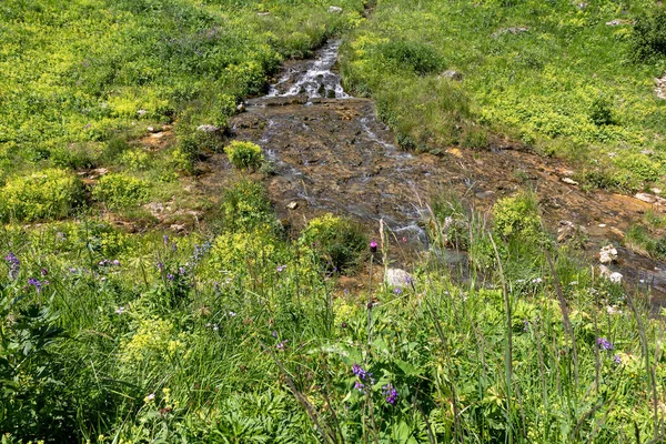 自然公園 新鮮な空気の中を歩くと 山の川の峡谷に沿って 魅力的な場所は晴れた日に旅行する — ストック写真