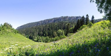 Dağlık araziler, yaz, güneşli bir günde subalpine çayırlarında yürümek, turizm için geçilemez yerler..