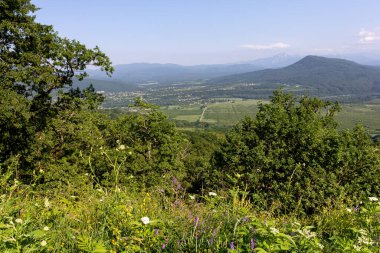 Dağlık araziler, yaz, güneşli bir günde subalpine çayırlarında yürümek, turizm için geçilemez yerler..