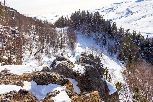 Winter park, outdoor walks, sparkling snow, sunny weather.