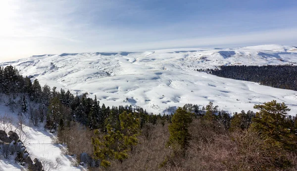 Kış Parkı Açık Hava Yürüyüşleri Köpüklü Kar Güneşli Hava — Stok fotoğraf