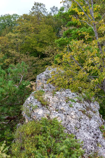 Natuursteen Achtergrond Gebruikt Voor Ontwerpwerkzaamheden Close Bovenhoek — Stockfoto