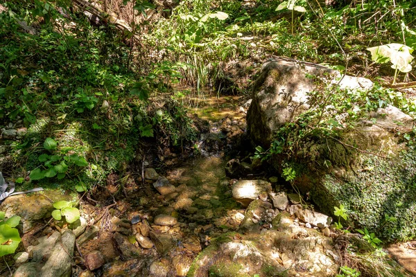 Fiumi Montagna Provenienti Alte Montagne Viaggio Attraverso Canyon Del Fiume — Foto Stock