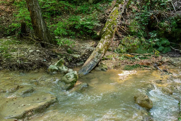 Fiumi Montagna Provenienti Alte Montagne Viaggio Attraverso Canyon Del Fiume — Foto Stock