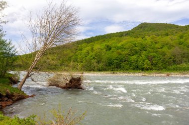 Dağ nehirleri, gezegendeki temiz su kaynakları, güneşli bir bahar gününde, kar eridikten sonra sel..