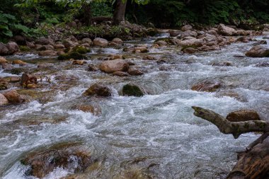 Dağ nehirleri, gezegendeki ekolojik temiz su rezervleri, dağların yükseklerinden geliyor. .