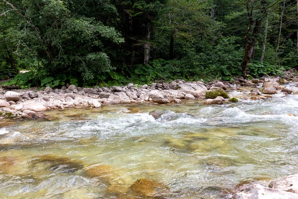 山の川 地球上の生態学的にきれいな水の埋蔵量の源は 山の中で高い発信 — ストック写真