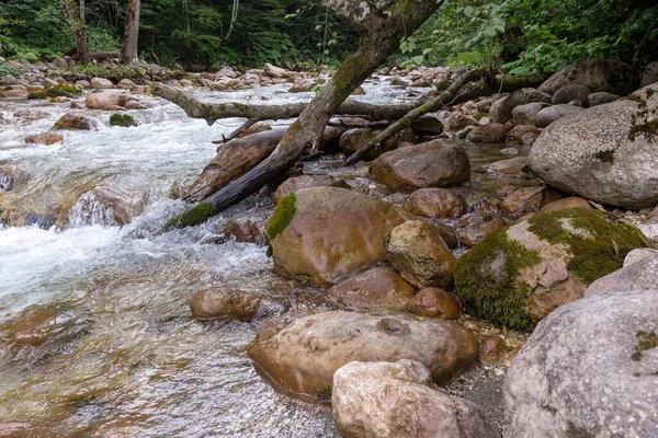 Гірські Річки Джерела Екологічно Чистих Водних Заповідників Планеті Виникають Високо — стокове фото