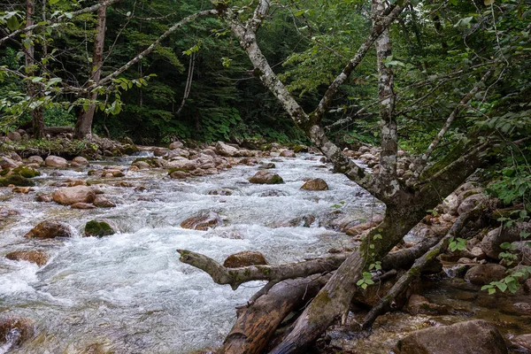 Гірські Річки Джерела Екологічно Чистих Водних Заповідників Планеті Виникають Високо — стокове фото
