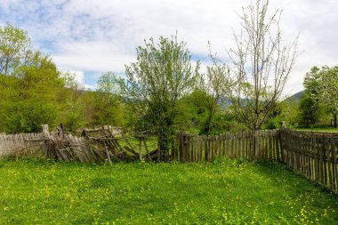 Chalet, dağ köyü, doğa, bahçe arazileri, orman, çayırlar, dağlar, yazın.