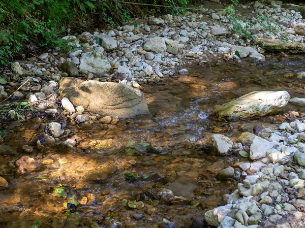 Estate Parco Naturale Passeggiate All Aria Aperta Lungo Canyon Fiume — Foto Stock