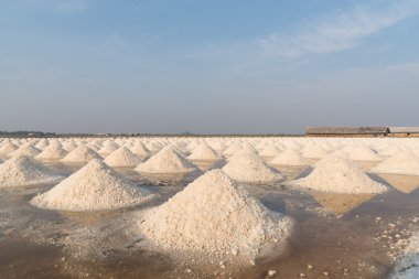 Tayland tuzlu alanları