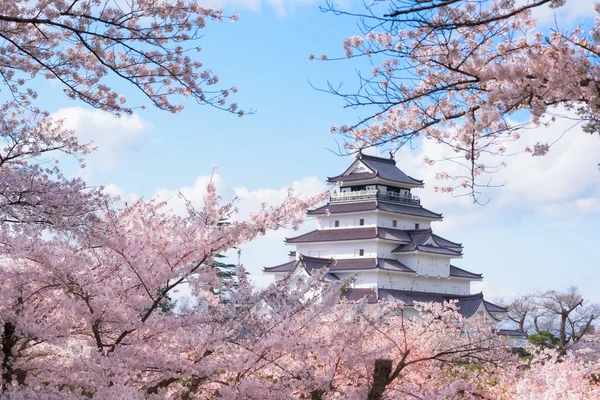 Château de Tsuruga entouré de centaines de sakura — Photo