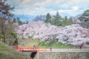 Fukushima, Japan - Nisan 15, 2016:Tsuruga hund tarafından çevrili kale