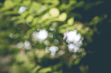 soyut yeşil doğa arkaplanı