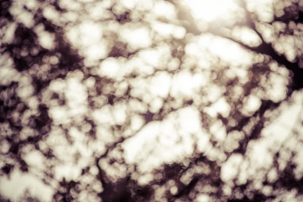 Abstrato vintage cor bokeh fundo — Fotografia de Stock