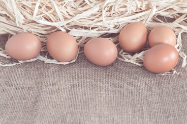 Kuru çim üzerinde tavuk yumurta