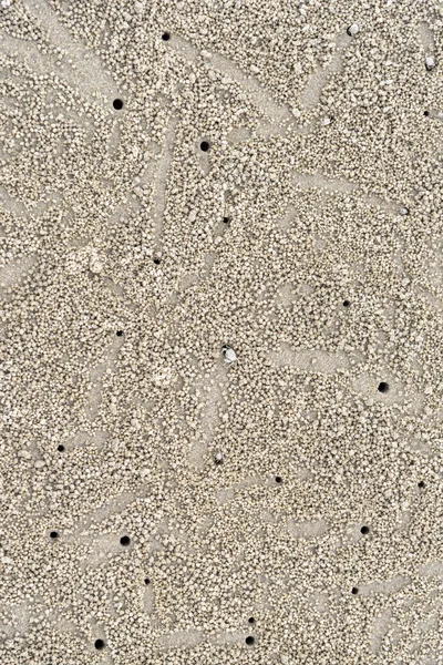Imagem do habitat do Caranguejo Fantasma na areia para fundo — Fotografia de Stock